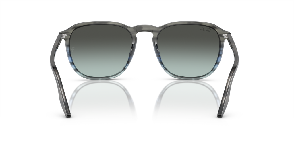 Ray-Ban RB2203 1391GK - Güneş Gözlükleri