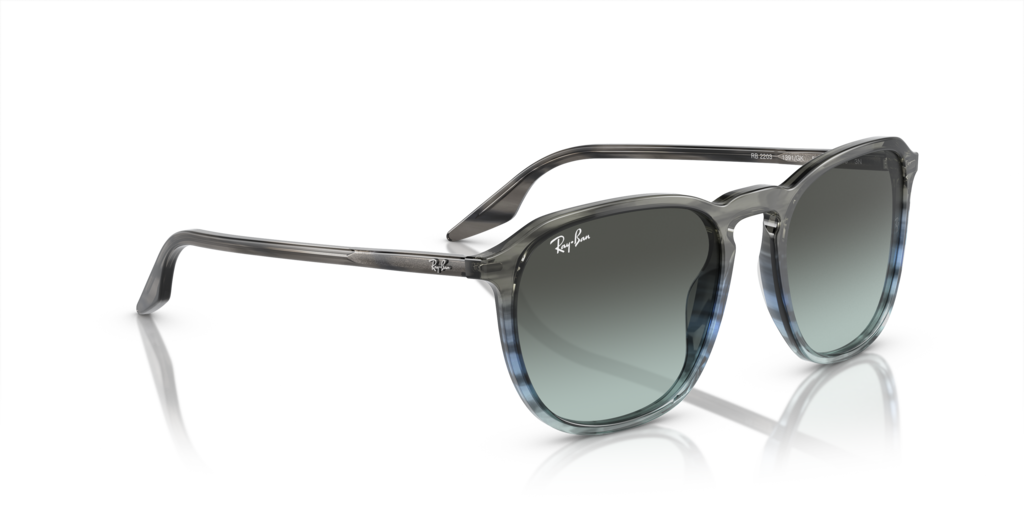 Ray-Ban RB2203 1391GK - Güneş Gözlükleri