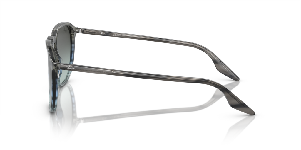 Ray-Ban RB2203 1391GK - Güneş Gözlükleri