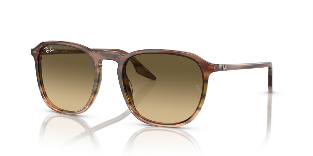 Ray-Ban RB2203 13920A - 52 - Güneş Gözlükleri