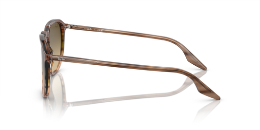 Ray-Ban RB2203 13920A - Güneş Gözlükleri