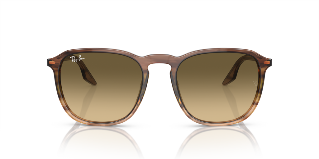 Ray-Ban RB2203 13920A - Güneş Gözlükleri
