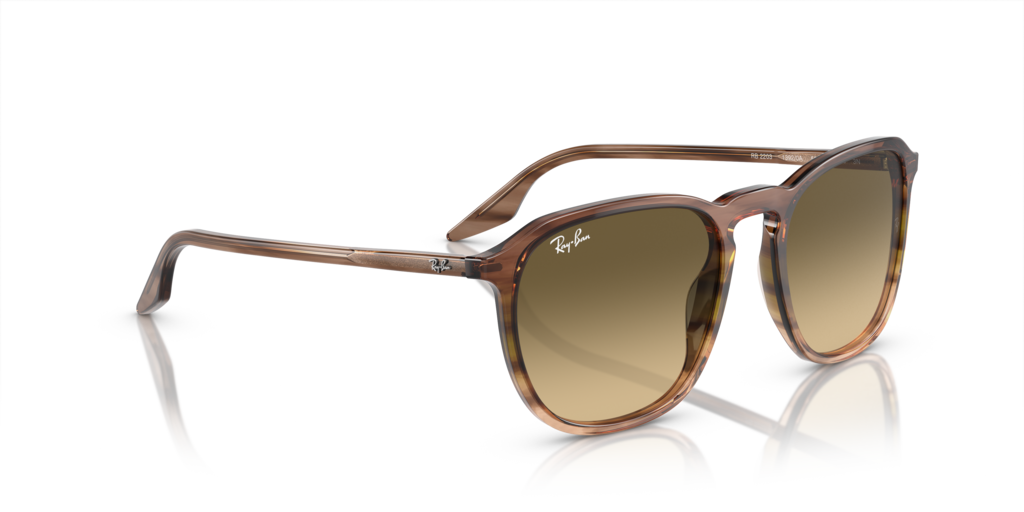 Ray-Ban RB2203 13920A - Güneş Gözlükleri