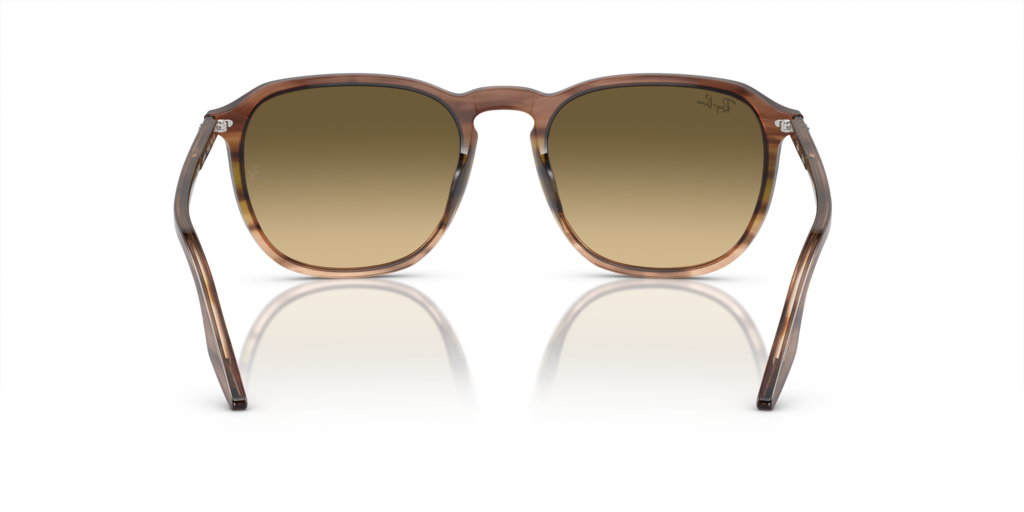 Ray-Ban RB2203 13920A - Güneş Gözlükleri