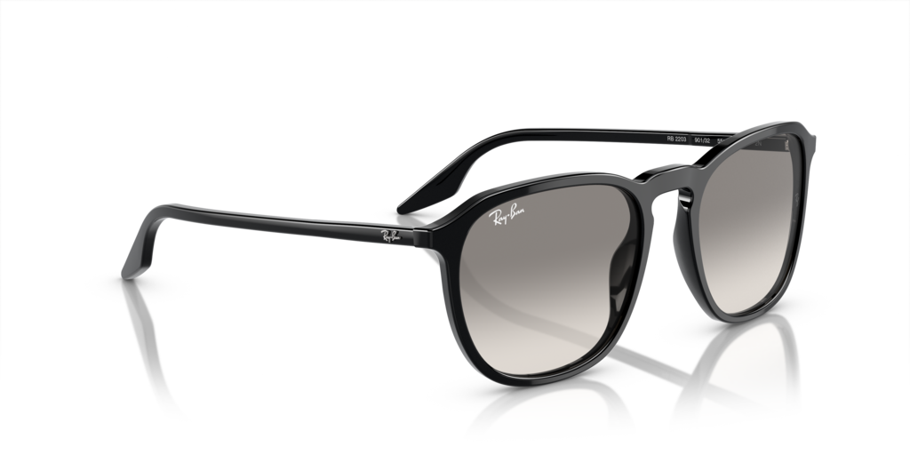 Ray-Ban RB2203 901/32 - Güneş Gözlükleri