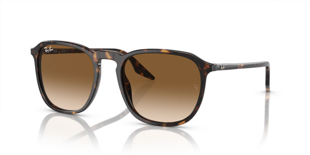 Ray-Ban RB2203 902/51 - 52 - Güneş Gözlükleri