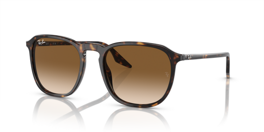 Ray-Ban RB2203 902/51 - 52 - Güneş Gözlükleri