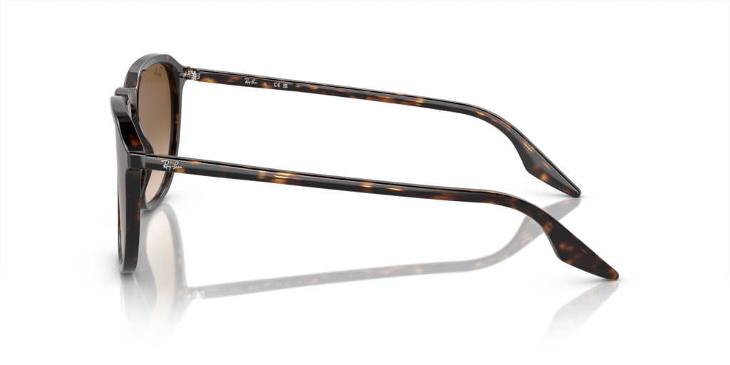 Ray-Ban RB2203 902/51 - Güneş Gözlükleri