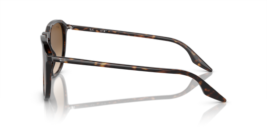 Ray-Ban RB2203 902/51 - Güneş Gözlükleri