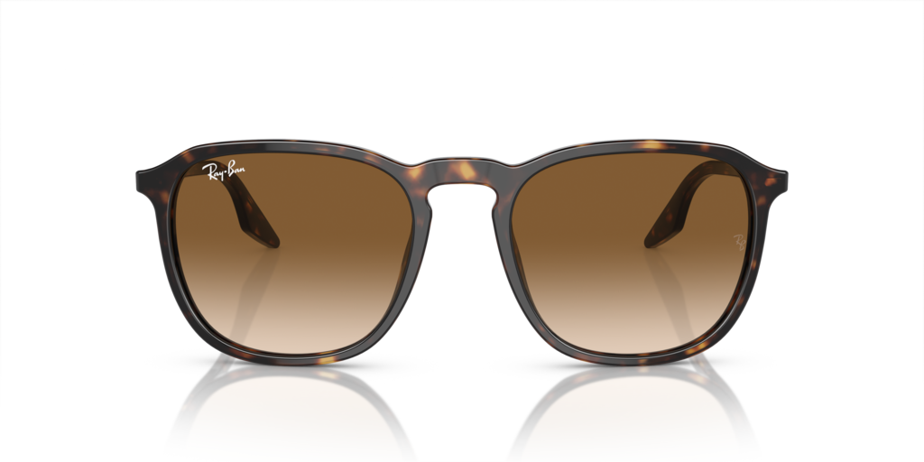 Ray-Ban RB2203 902/51 - Güneş Gözlükleri