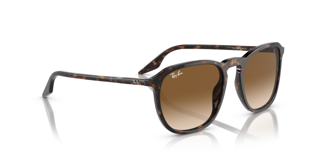Ray-Ban RB2203 902/51 - Güneş Gözlükleri