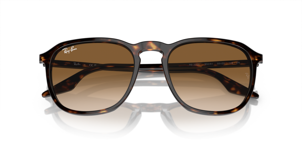 Ray-Ban RB2203 902/51 - Güneş Gözlükleri