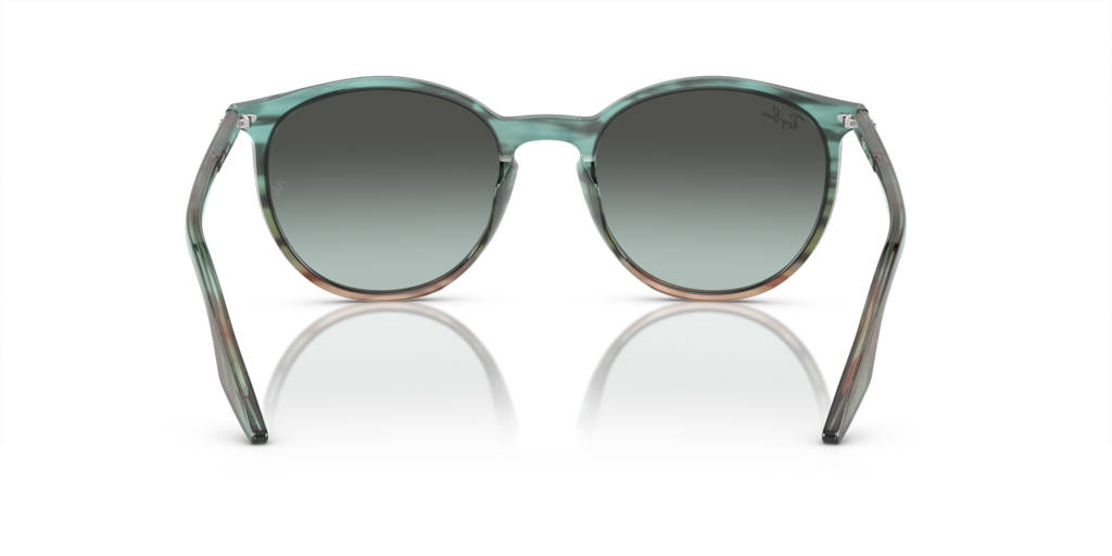 Ray-Ban RB2204 1394GK - Güneş Gözlükleri