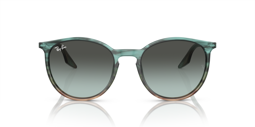 Ray-Ban RB2204 1394GK - Güneş Gözlükleri