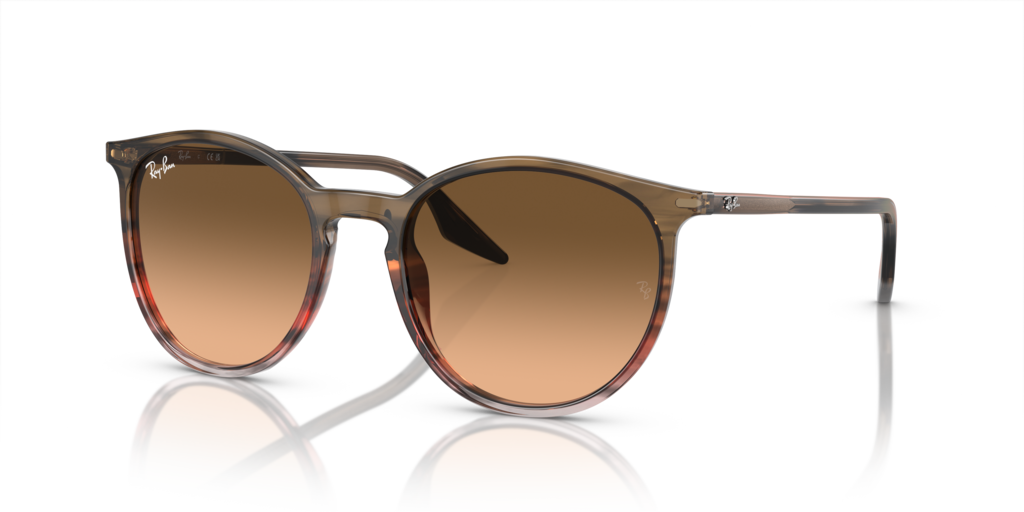 Ray-Ban RB2204 13953B - 51 - Güneş Gözlükleri