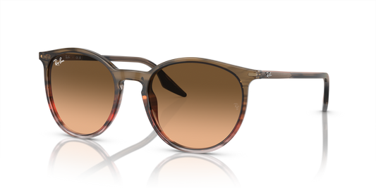 Ray-Ban RB2204 13953B - 51 - Güneş Gözlükleri