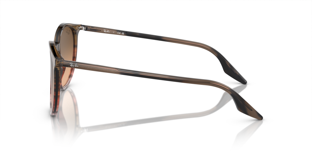 Ray-Ban RB2204 13953B - Güneş Gözlükleri