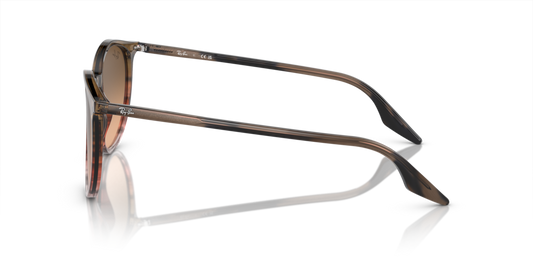 Ray-Ban RB2204 13953B - Güneş Gözlükleri
