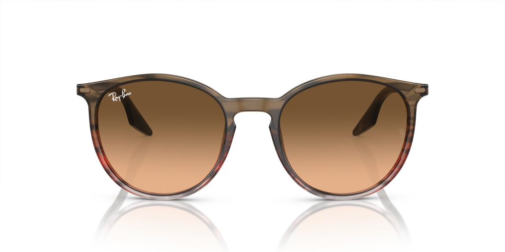 Ray-Ban RB2204 13953B - Güneş Gözlükleri