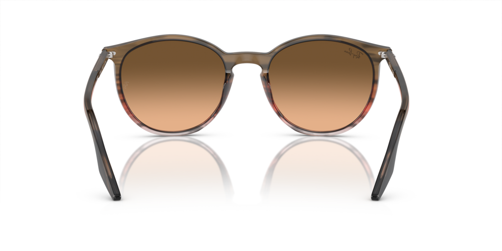Ray-Ban RB2204 13953B - Güneş Gözlükleri