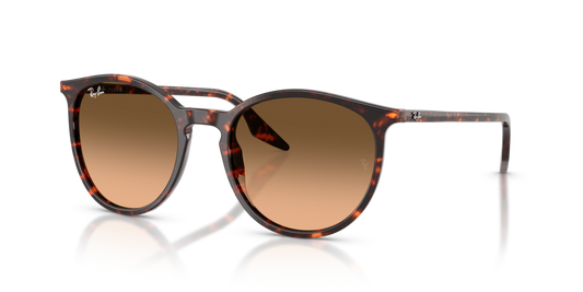 Ray-Ban RB2204 14293B - 51 - Güneş Gözlükleri
