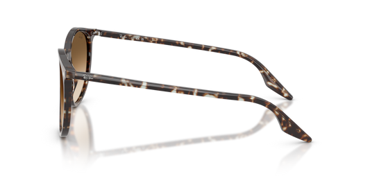 Ray-Ban RB2204 143151 - Güneş Gözlükleri