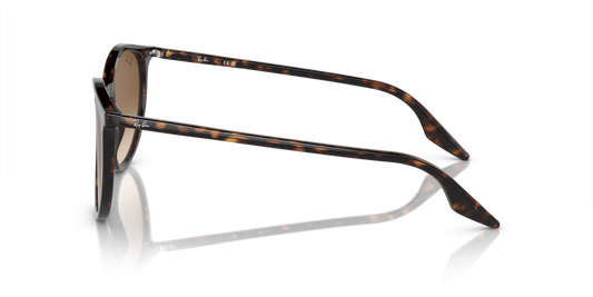 Ray-Ban RB2204 902/51 - Güneş Gözlükleri