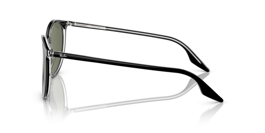 Ray-Ban RB2204 919/58 - Güneş Gözlükleri