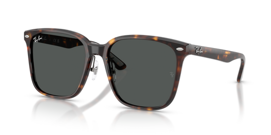 Ray-Ban RB2206D 710/87 - 57 - Güneş Gözlükleri