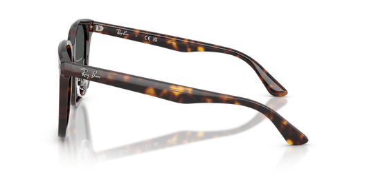 Ray-Ban RB2206D 710/87 - 57 - Güneş Gözlükleri