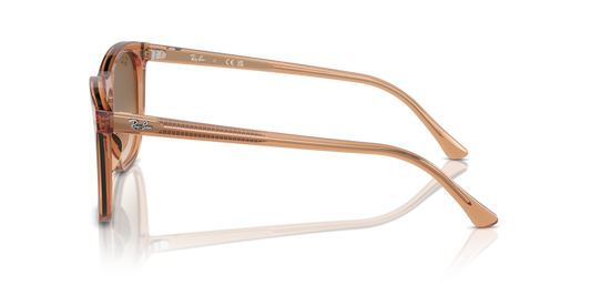 Ray-Ban RB2210 676451 - 53 - Güneş Gözlükleri
