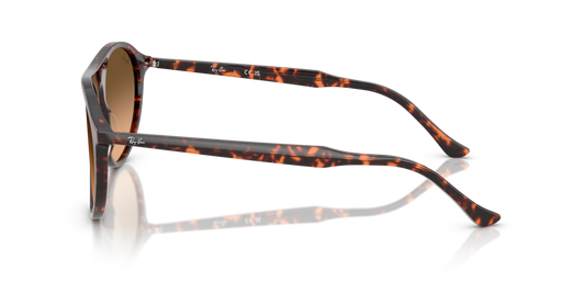 Ray-Ban RB2215 14293B - 56 - Güneş Gözlükleri