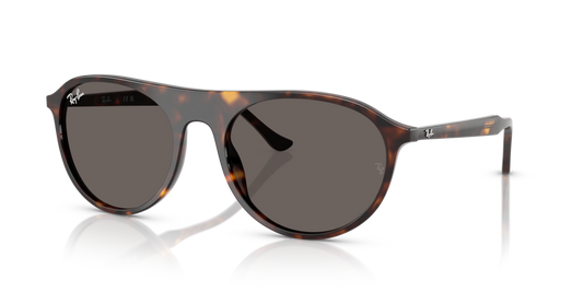 Ray-Ban RB2215 902/B1 - 56 - Güneş Gözlükleri