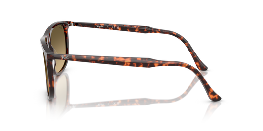 Ray-Ban RB2216 14290A - 61 - Güneş Gözlükleri