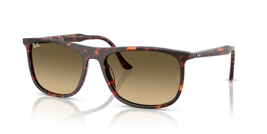 Ray-Ban RB2216 14290A - 61 - Güneş Gözlükleri