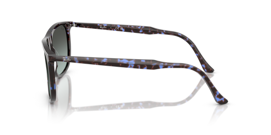 Ray-Ban RB2216 1430GK - Güneş Gözlükleri