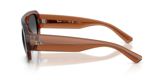 Ray-Ban RB2218 6678T3 - 55 - Güneş Gözlükleri