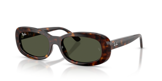 Ray-Ban RB2221 902/31 - 53 - Güneş Gözlükleri