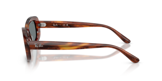 Ray-Ban RB2221 954/62 - Güneş Gözlükleri