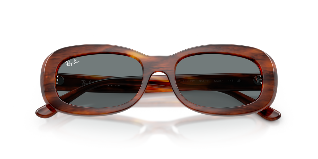 Ray-Ban RB2221 954/62 - Güneş Gözlükleri