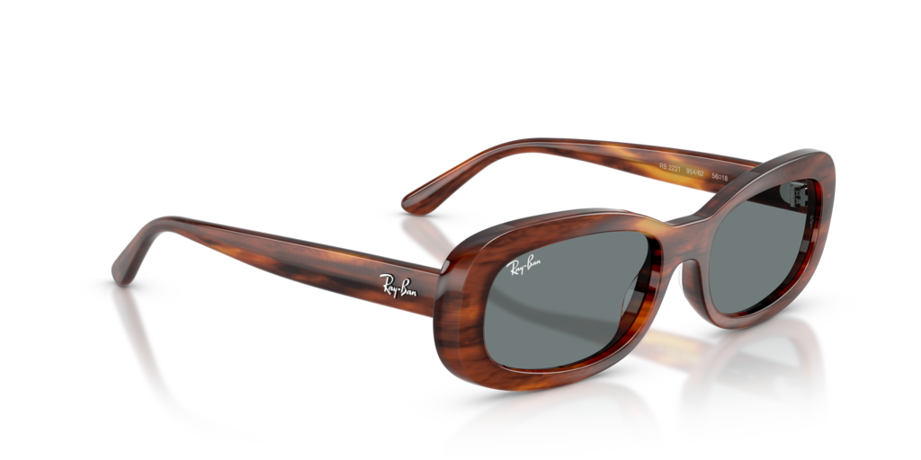 Ray-Ban RB2221 954/62 - Güneş Gözlükleri