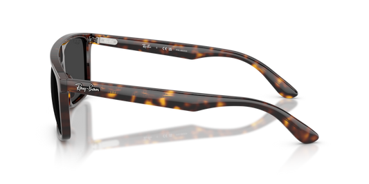 Ray-Ban RB2222 902/48 - Güneş Gözlükleri