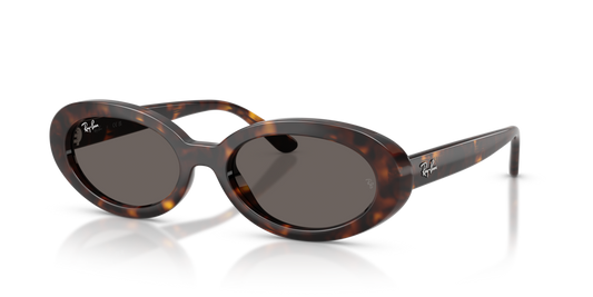 Ray-Ban RB2223 902/B1 - 54 - Güneş Gözlükleri