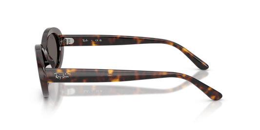 Ray-Ban RB2223 902/B1 - 54 - Güneş Gözlükleri