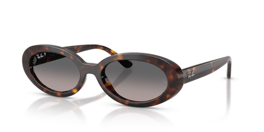 Ray-Ban RB2223 902/M3 - 54 - Güneş Gözlükleri
