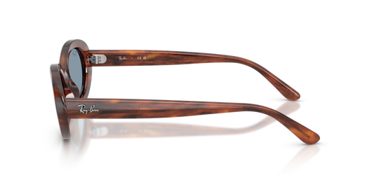 Ray-Ban RB2223 954/56 - 54 - Güneş Gözlükleri