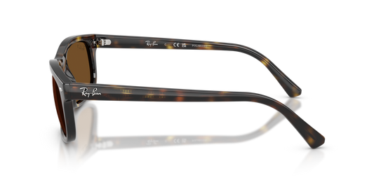 Ray-Ban RB2224 710/57 - Güneş Gözlükleri