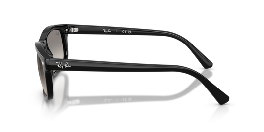 Ray-Ban RB2224 901/32 - Güneş Gözlükleri