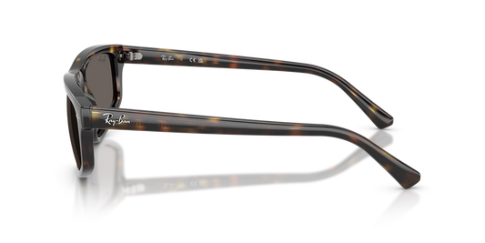 Ray-Ban RB2225 710/B1 - Güneş Gözlükleri