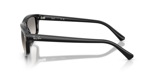 Ray-Ban RB2225 901/32 - Güneş Gözlükleri